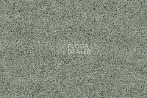 Ковровая плитка Interface Polichrome Solid 4266005 Silk Grey фото 1 | FLOORDEALER